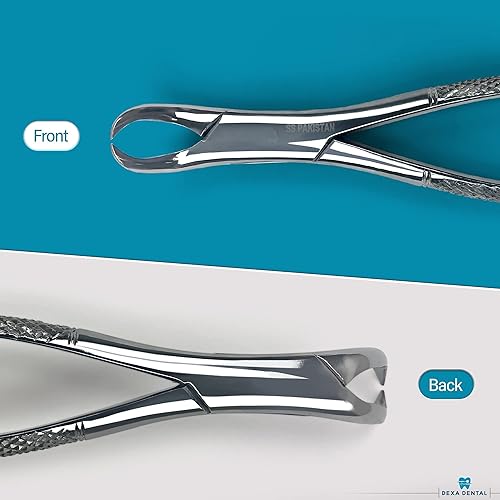 Miniatura 17 de Fórceps de extracción dental resistente # 150 Pinza apical