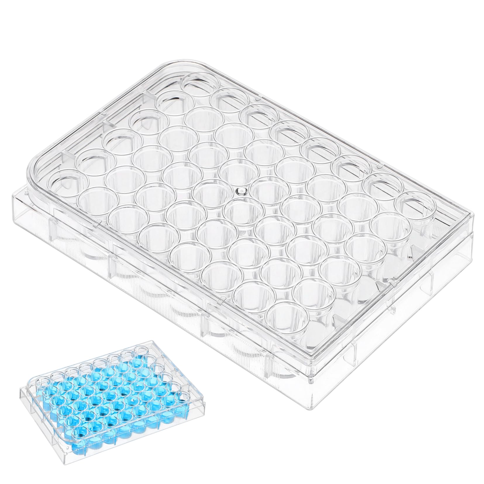 SOLUSTRE 10pezzi Piastra Di Coltura Cellulare Trasparente Da Pozzetti Strumento Per Esperimenti Di Laboratorio Realizzata Vergine Resistente e Stabile Per Applicazioni Di Coltura Cellulare