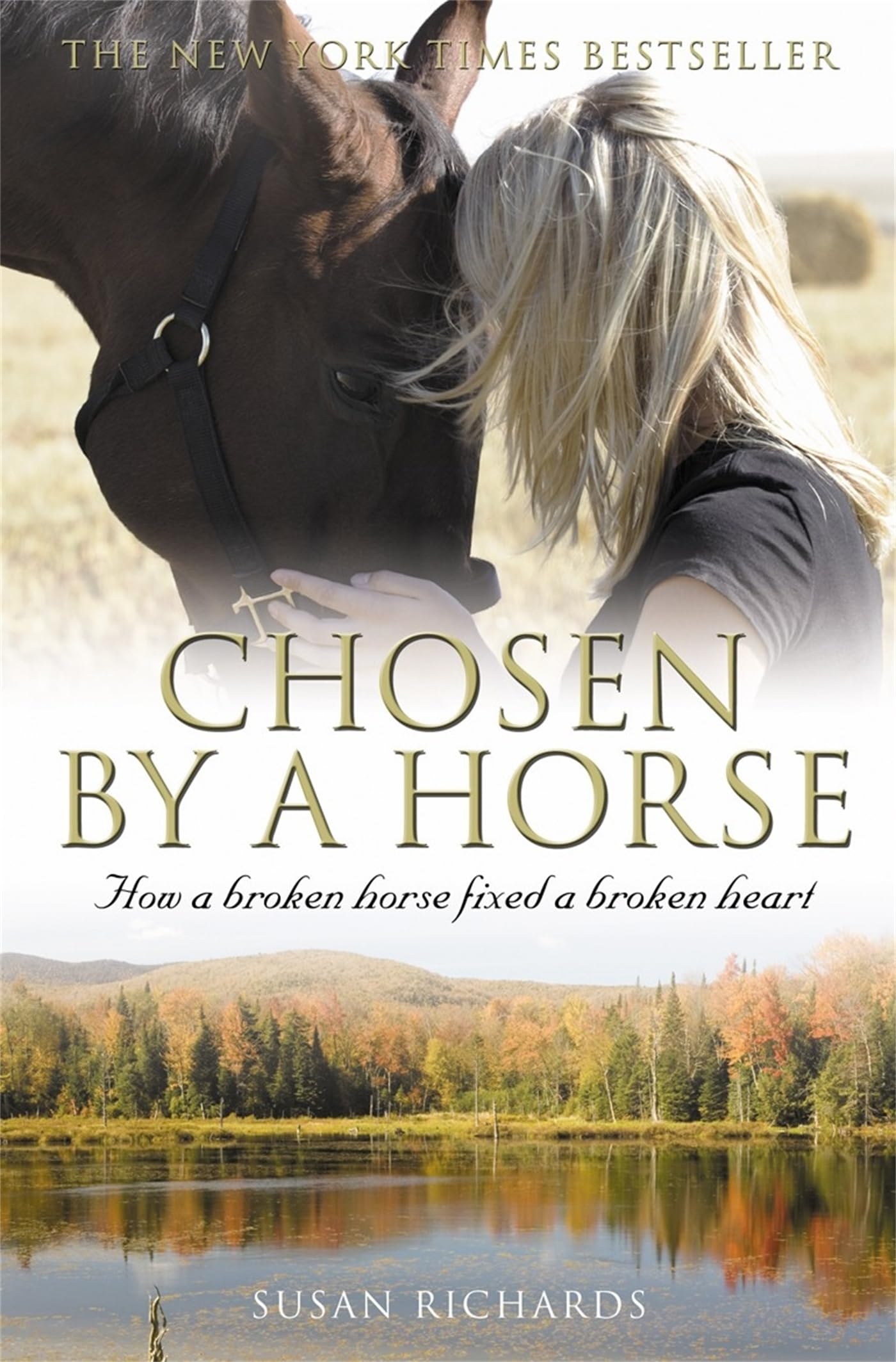 Chosen by a Horse by Susan Richards PAPERBACK 9781845297169