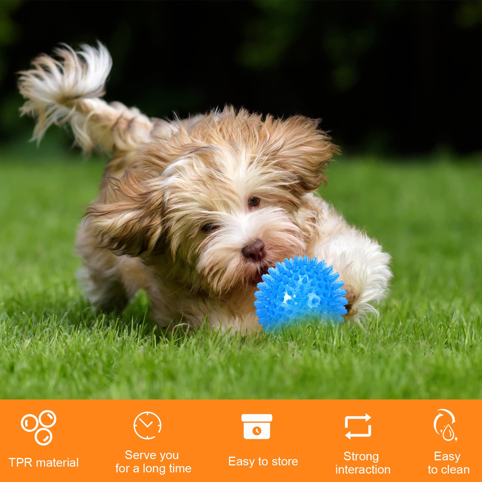 Yexiya Pet Squeak Toys