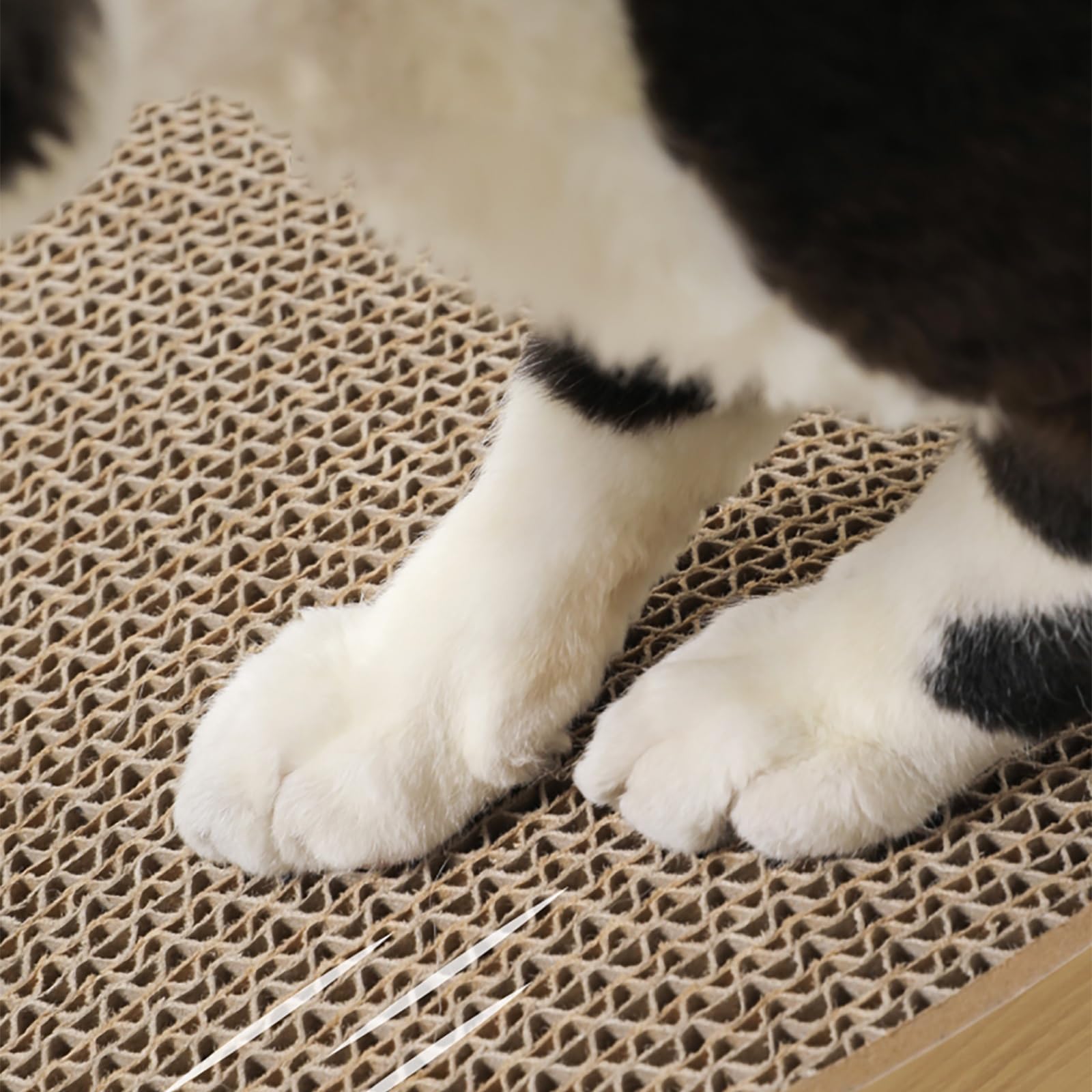 Planche À Gratter pour Chat De Type Poisson, Griffoir pour Chat en Carton Ondulé, Lit À Gratter pour Chat, Griffoir pour Chat Recyclable, Lit pour Animaux De Compagnie Respirant