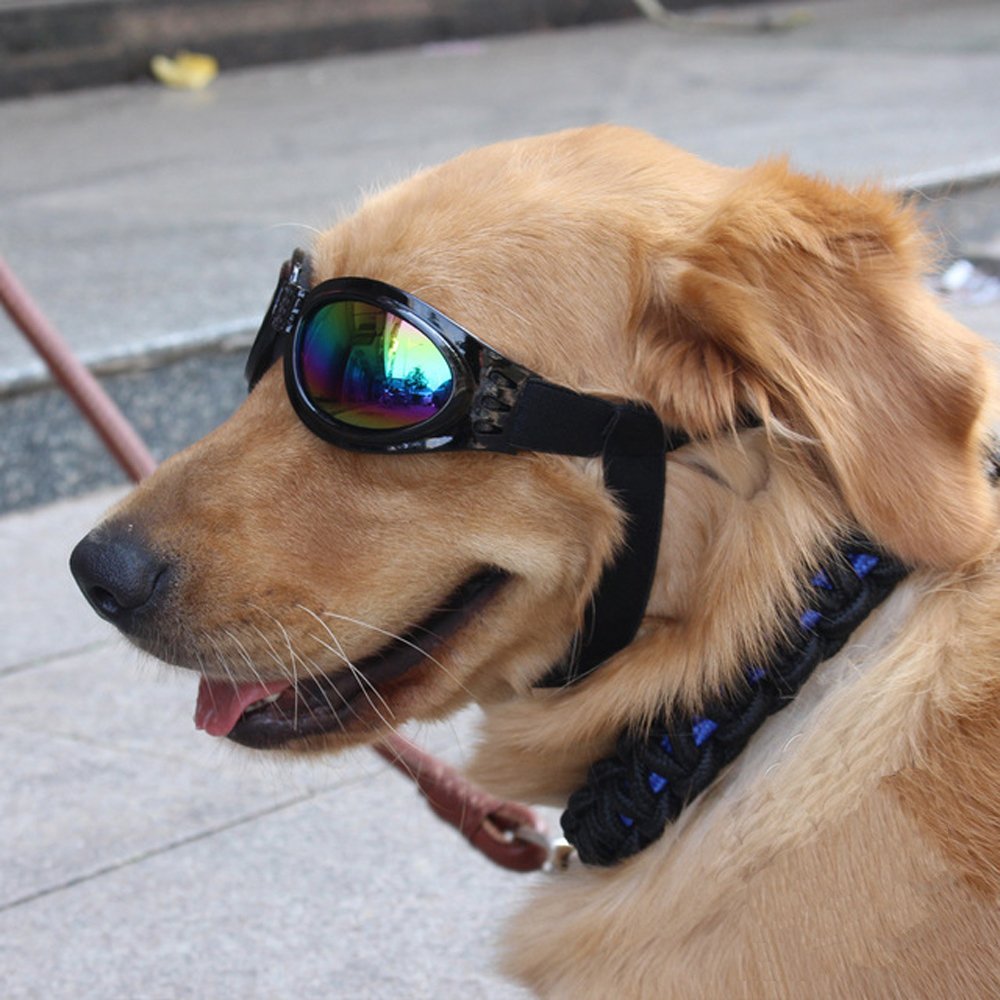 Occhiali Da Sole Per Cani - Protezione UV E Antivento Per Taglie Medie E Grandi | Nero - Foto 2