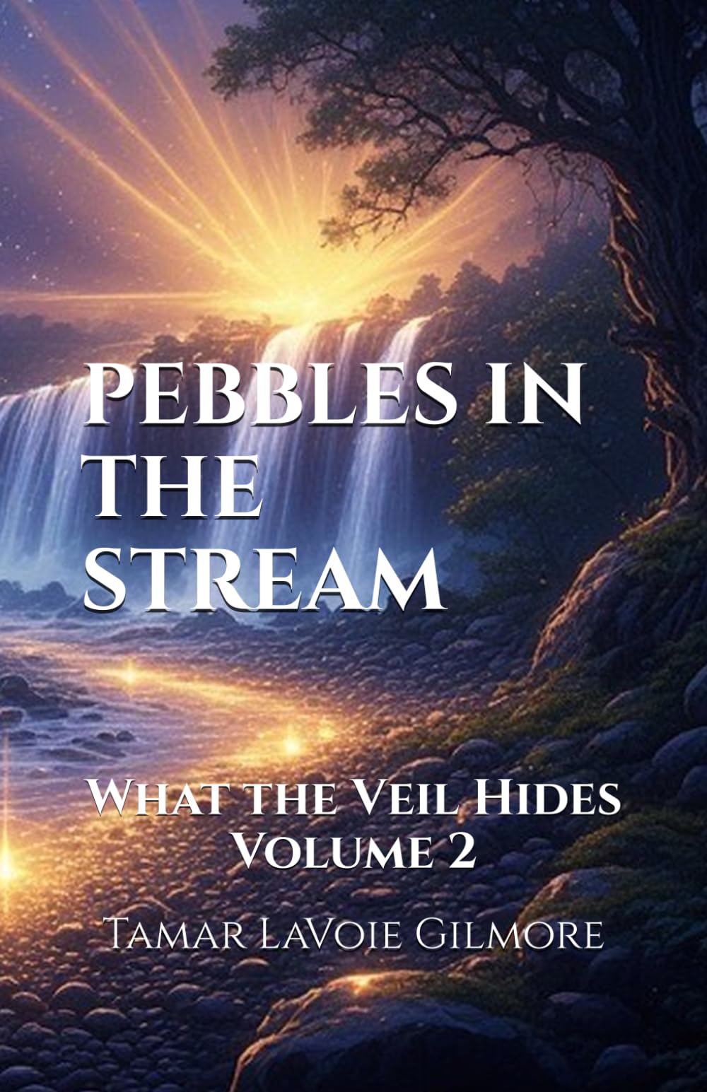Pebbles in The Stream: What the Veil Hides, Volume 2