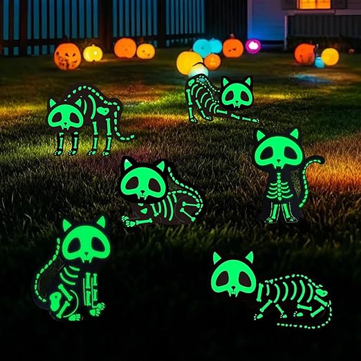 Gatos