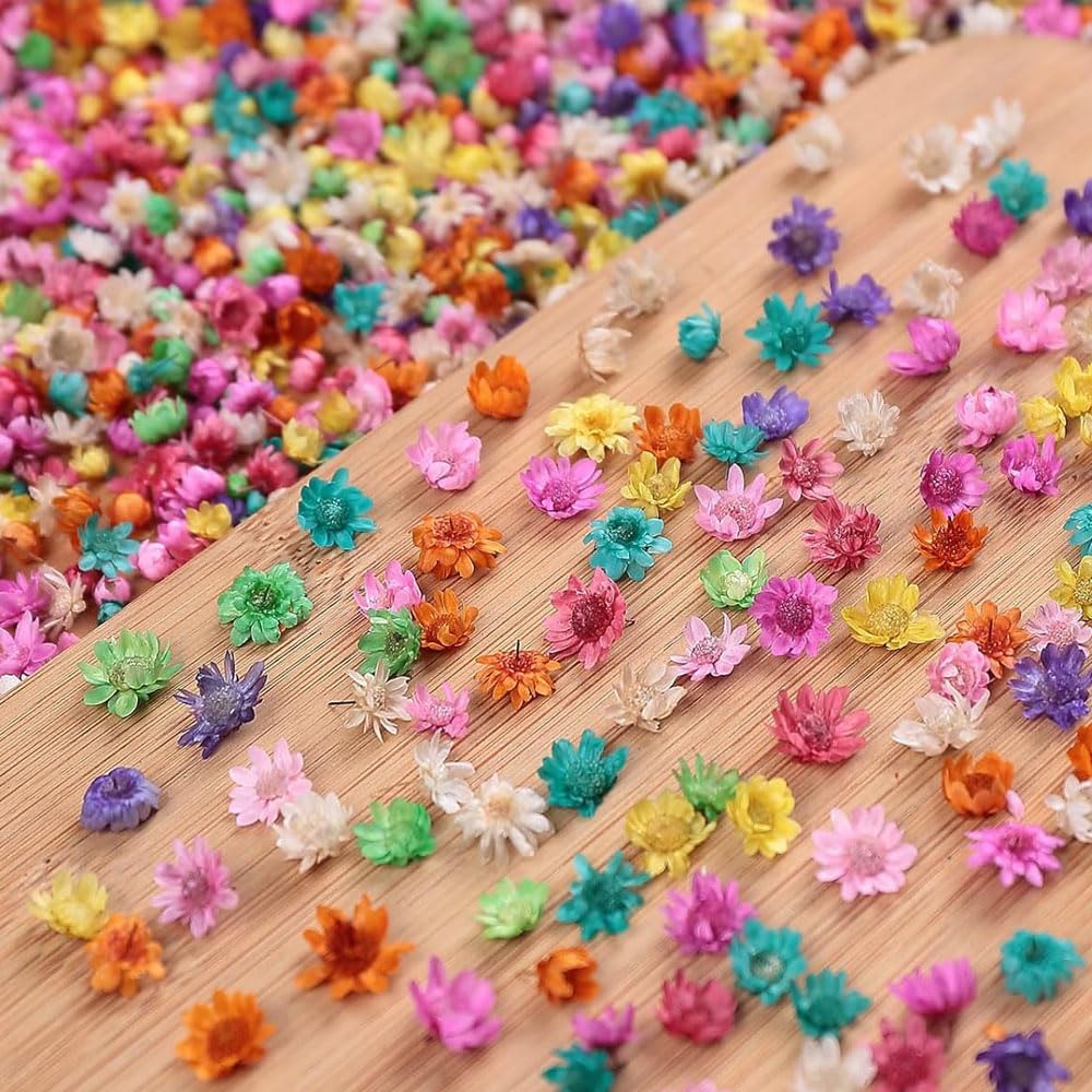 Fiori Secchi Per Resina E Candele - 280 Pezzi Con Scatola, Decorativi Per Artigianato Fai Da Te - Foto 9