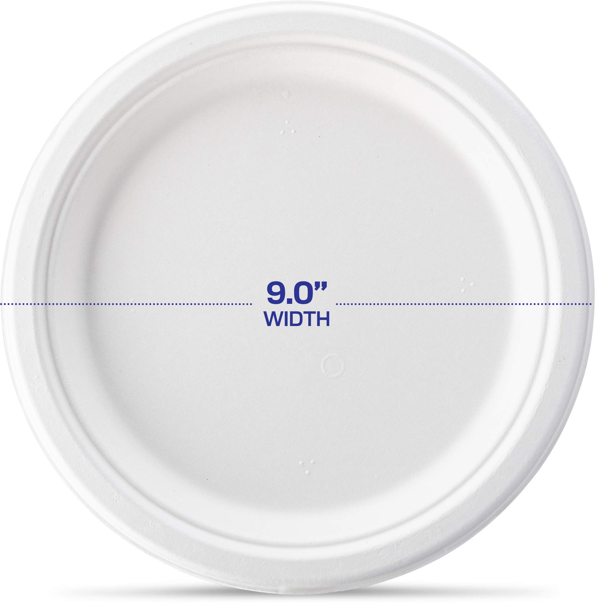 platos de bagazo 100% fibra de caña de azúcar natural, resistente, a prueba de fugas, ecológico, 125 unidades