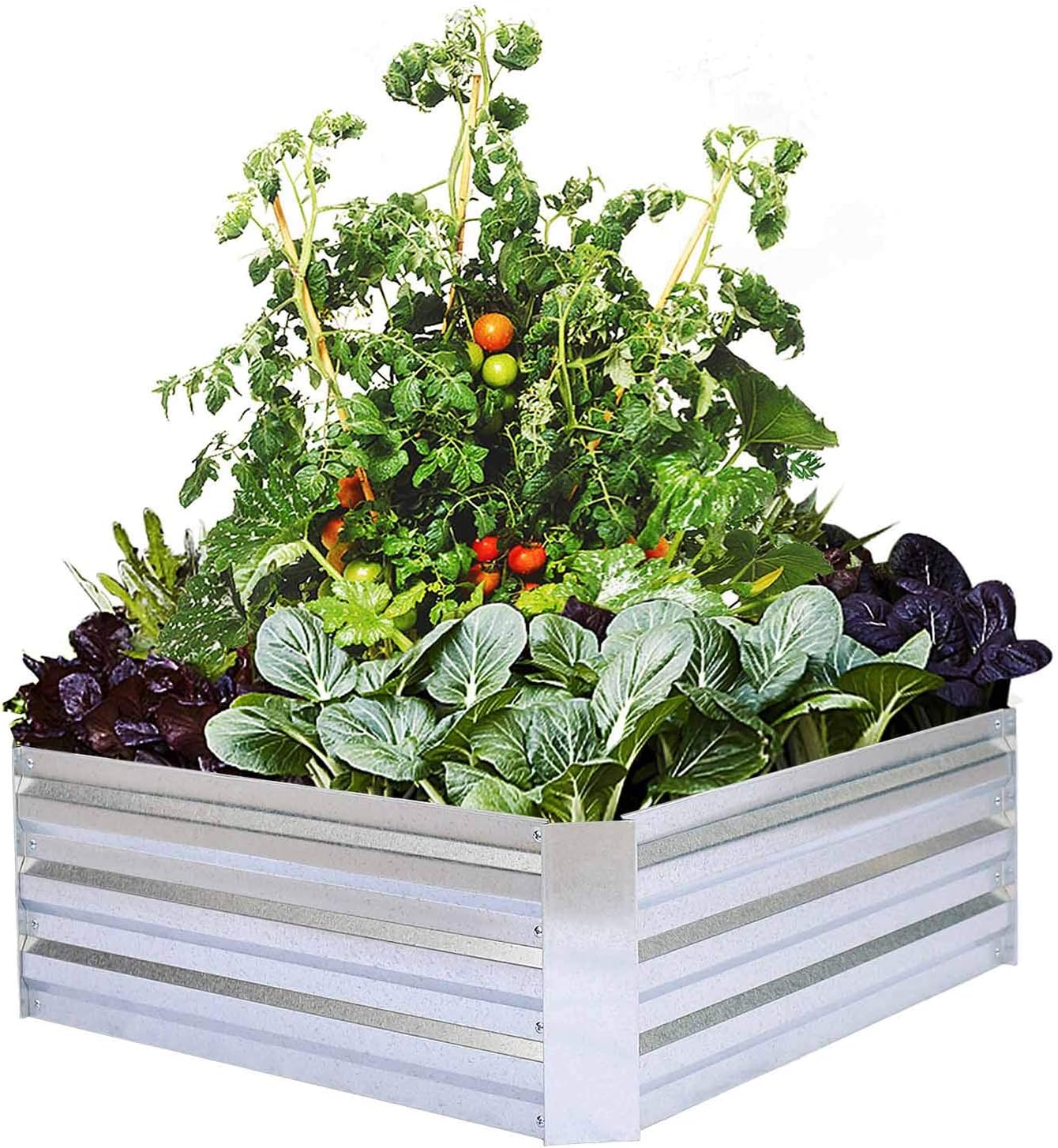 Galvanized Raised Garden Beds for Vegetables Metal Planter Boxes Outdoor Flower Bed Kit Steel Patio 3x3x1FT