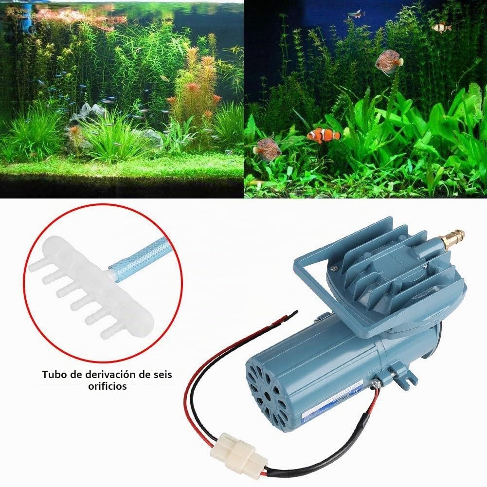 Bomba de Aire para Acuario, CC 12 V, 35 W, supersilenciosa, portátil, Bomba de oxígeno, aireador de Bomba de Aire, Bomba de Aire CC para acuarios para estanques de Peces, 68 l/min