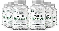 Vista 9 de Cápsulas de musgo marino salvaje orgánico de Organics Ocean - Musgo marino irlandés 100% orgánico con clorella orgánica, fucus y vitamina D
