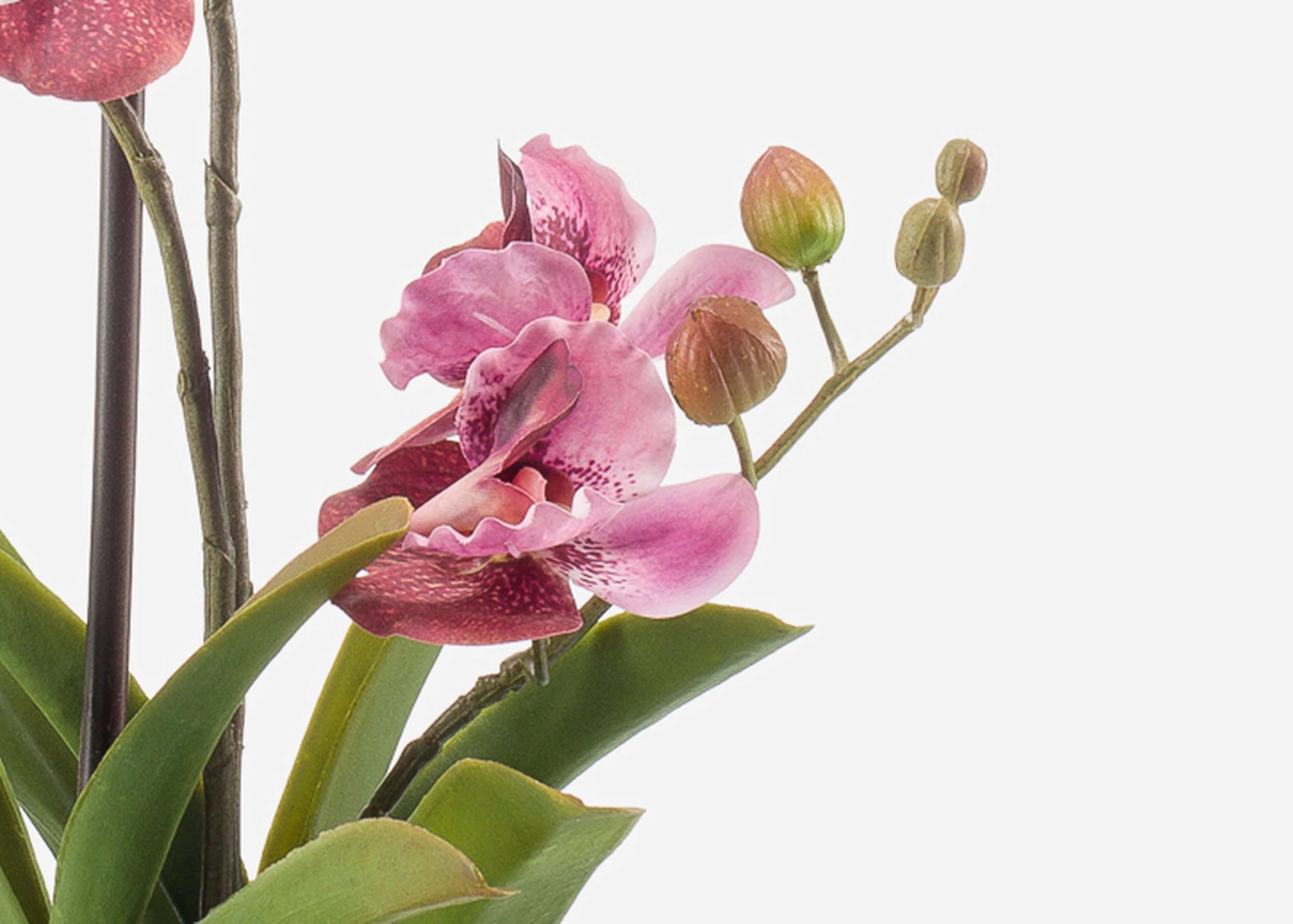 artplants.de Fleur Artificielle Orchidée Vanda Campo, 60cm | Rose-Rose Fuchsia - Fleur synthétique/Fausse orchidée