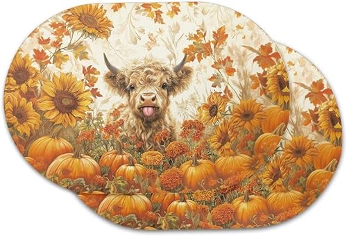 Miniatura 79 de Juego de 6 manteles individuales lavables para mesa de comedor, resistentes al calor, mesa de cocina, decoración del hogar, lavable, ovalada, de