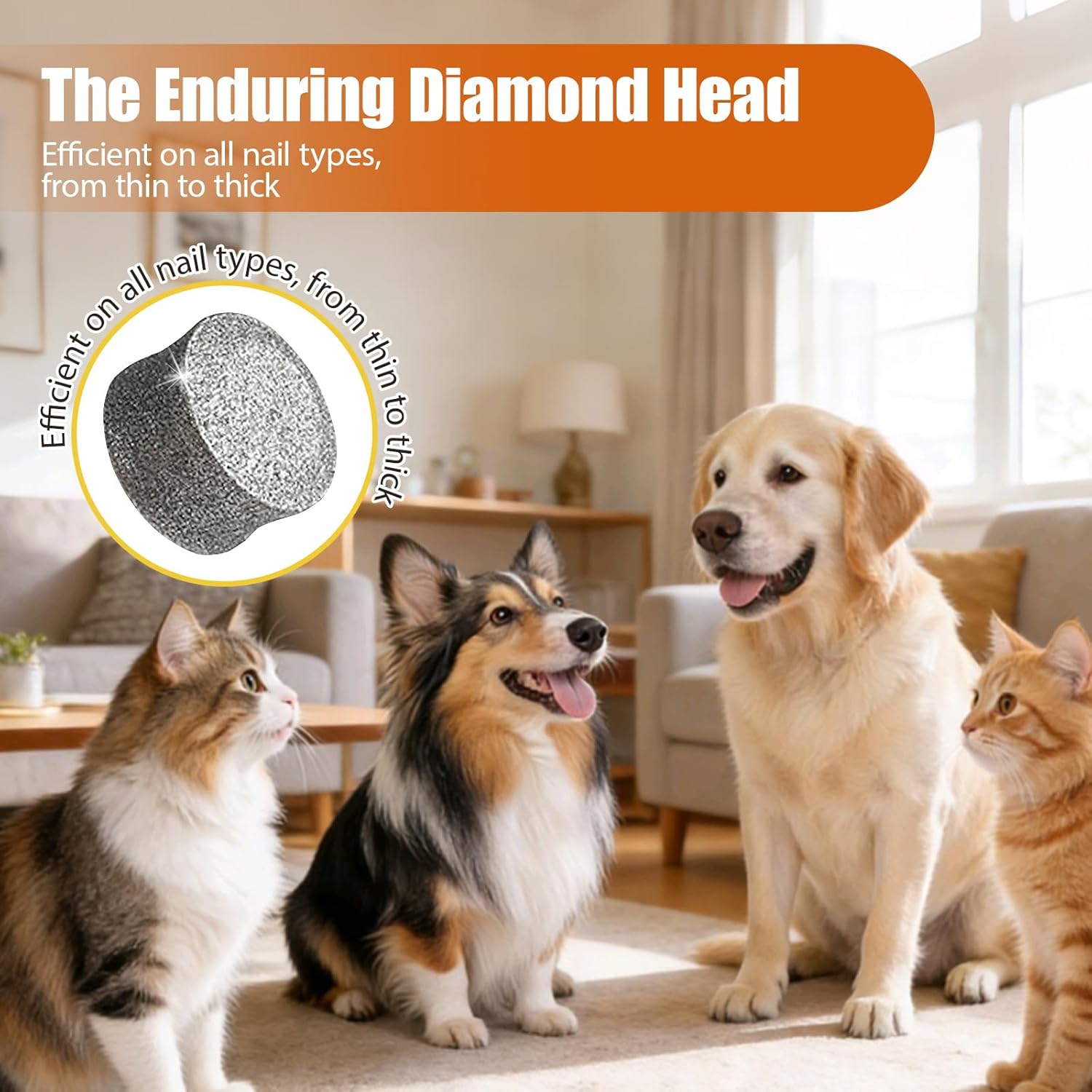 2026 Upgraded Dog Nail Grinder Quiet with LED Light & Low Noise - 3-Speed, 3-Port Professional Dog Nail Trimmer Dogs & Cats, Cordless & Rechargeable