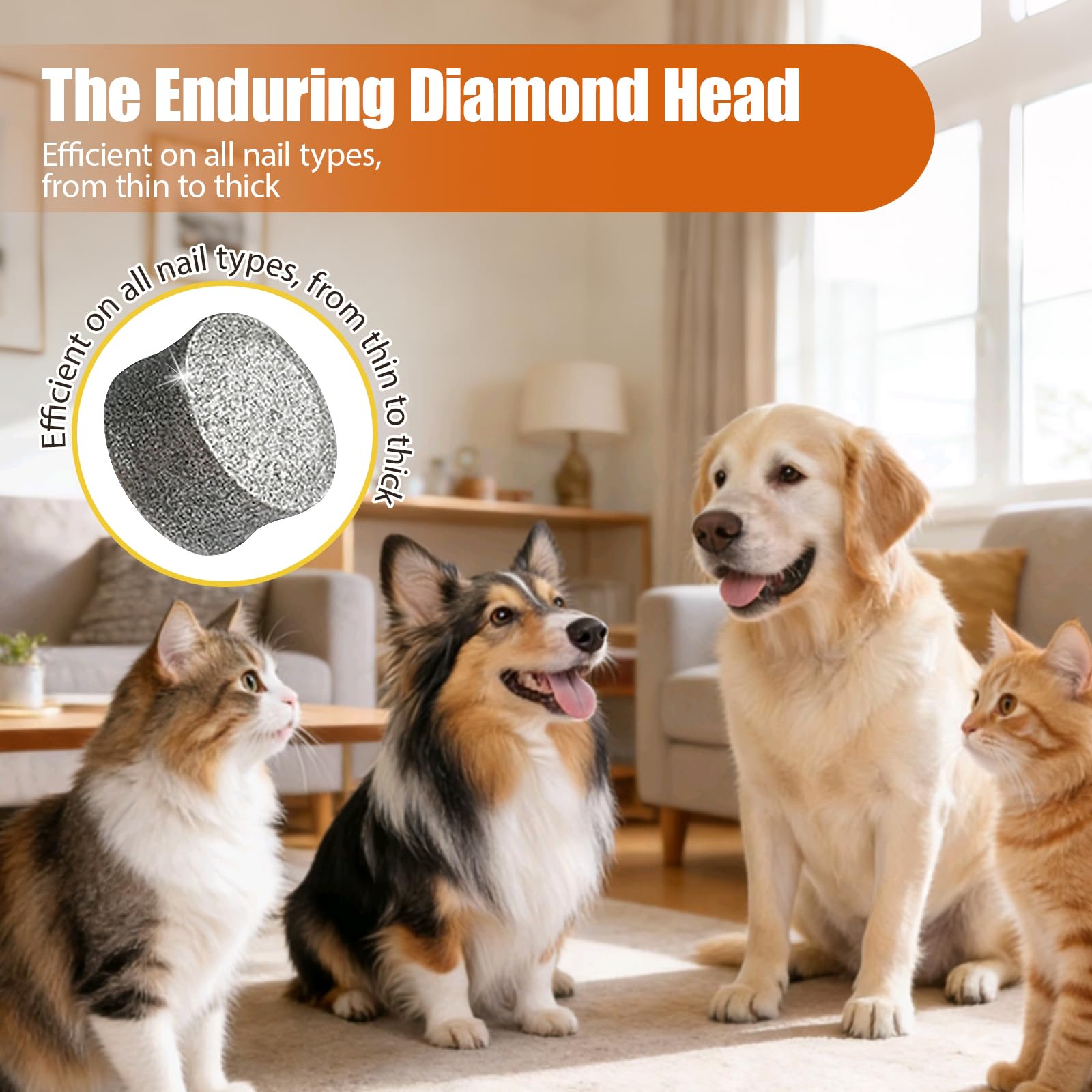 2026 Upgraded Dog Nail Grinder Quiet with LED Light & Low Noise - 3-Speed, 3-Port Professional Dog Nail Trimmer Dogs & Cats, Cordless & Rechargeable - image 6