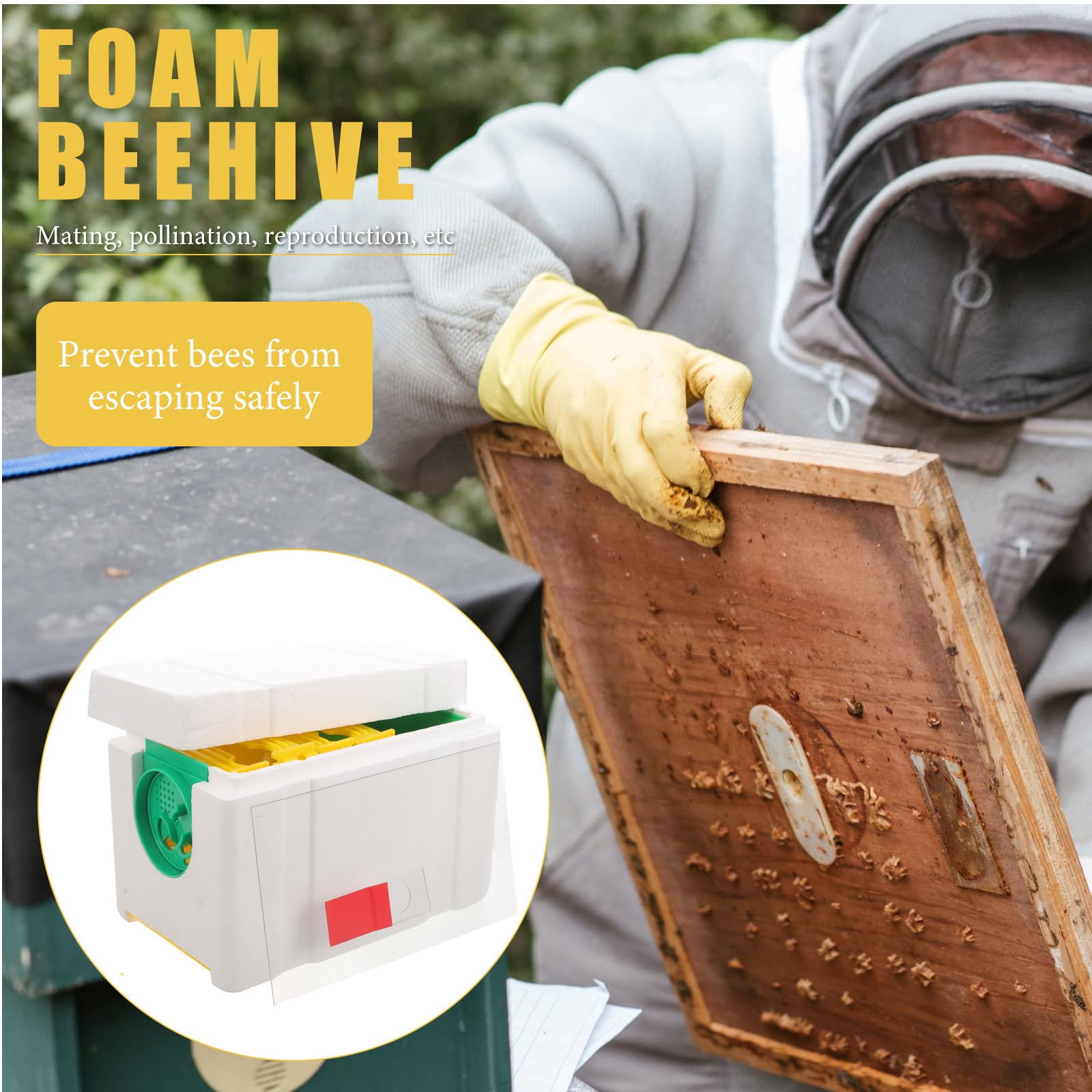 Bienenpaarungskasten mit 4 Rahmen Leichter Bestäubungskasten aus Stabilem Material Bienenzuchtbehälter für Imkerei und Garten