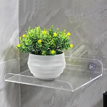 Abaodam 2pcs Transparent Acrylic Cup Shelves For Window Plants Load-bearing Bracket Racks For Kitchen Bathroom And Living Room Floating Potting Stand For Indoor Herbs And