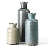 CwlwGO- Ceramic Vase 3 Piece Set, Small Flower vases for Home Decoration, Modern Farmhouse Decoration, Living Room,Table Shelf, Centerpieces, Fireplace and Entrance Decorations-Multicolor.