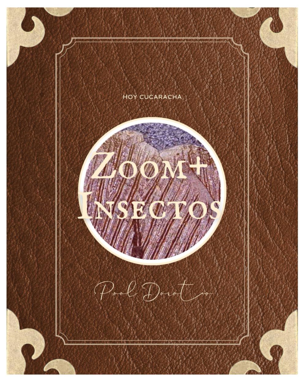 Zoom+ Insectos Volumen I le livre idéal pour explorer le jardin