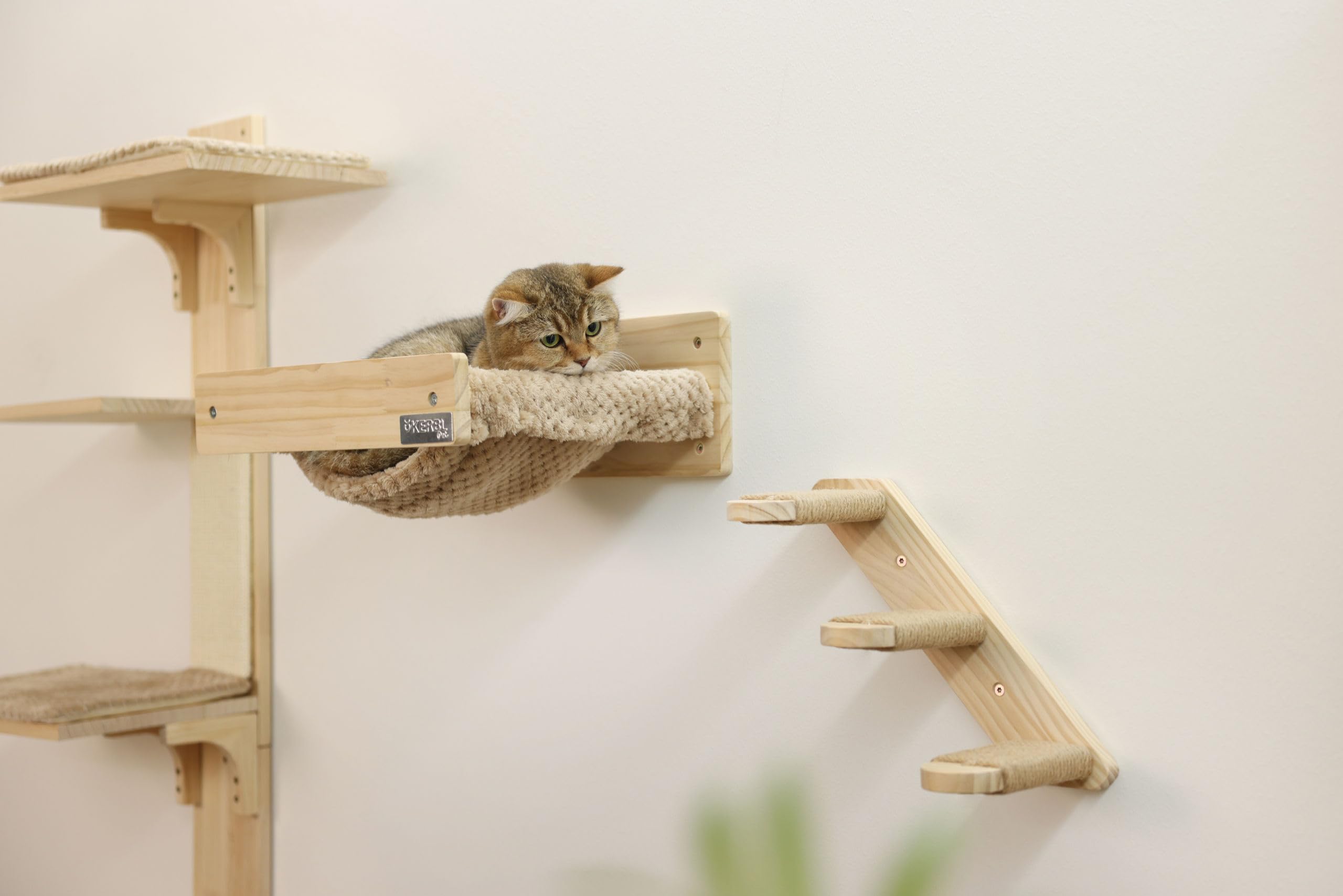 Drabina dla kota Timber, długość 38 cm, z jutą | Naturalny, 38 × 16,5 cm, drewno z naturalną jutą, możliwość montażu po obu stronach i obciążenie do 6 kg