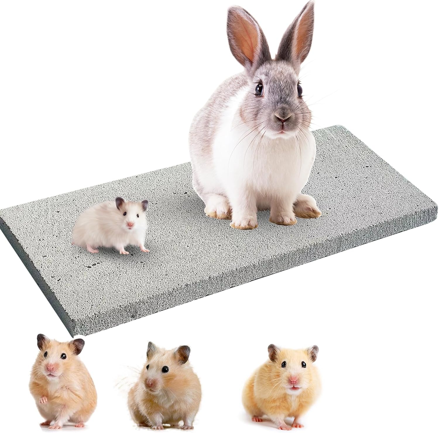 Amazon.com : FlidRunest Plus Size Large Rabbit Grinding Claw Pads ...