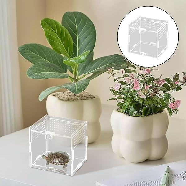 1 Piece Acrylic Feeding Box, Transparent Feeding Box, Crawling Pet Supplies, Suitable For Spiders, Lizards, Snails. - 5