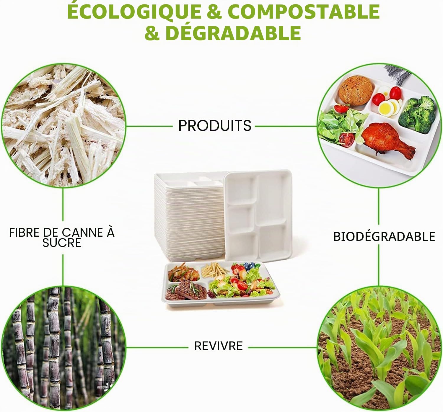 MSYU Lot de 125 assiettes en carton 100 % compostables à 5 compartiments - Plateau à déjeuner jetable de qualité supérieure - Respectueux de l'environnement - Fabriqué en fibres de canne à sucre