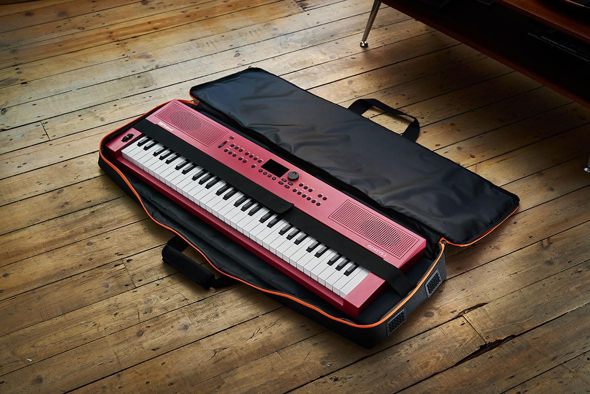 Amazon.com: Roland CB-V61 | Keyboard Carrying Bag | For 61-Note