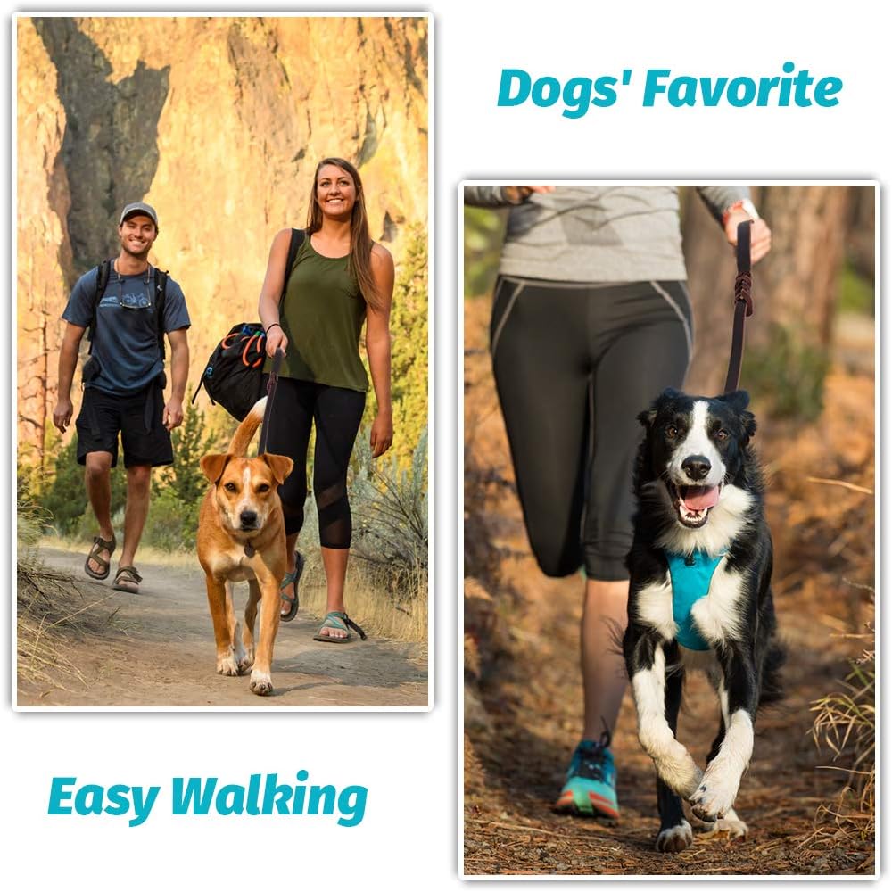 2 PCS Leather Dog Leash Brown and Black