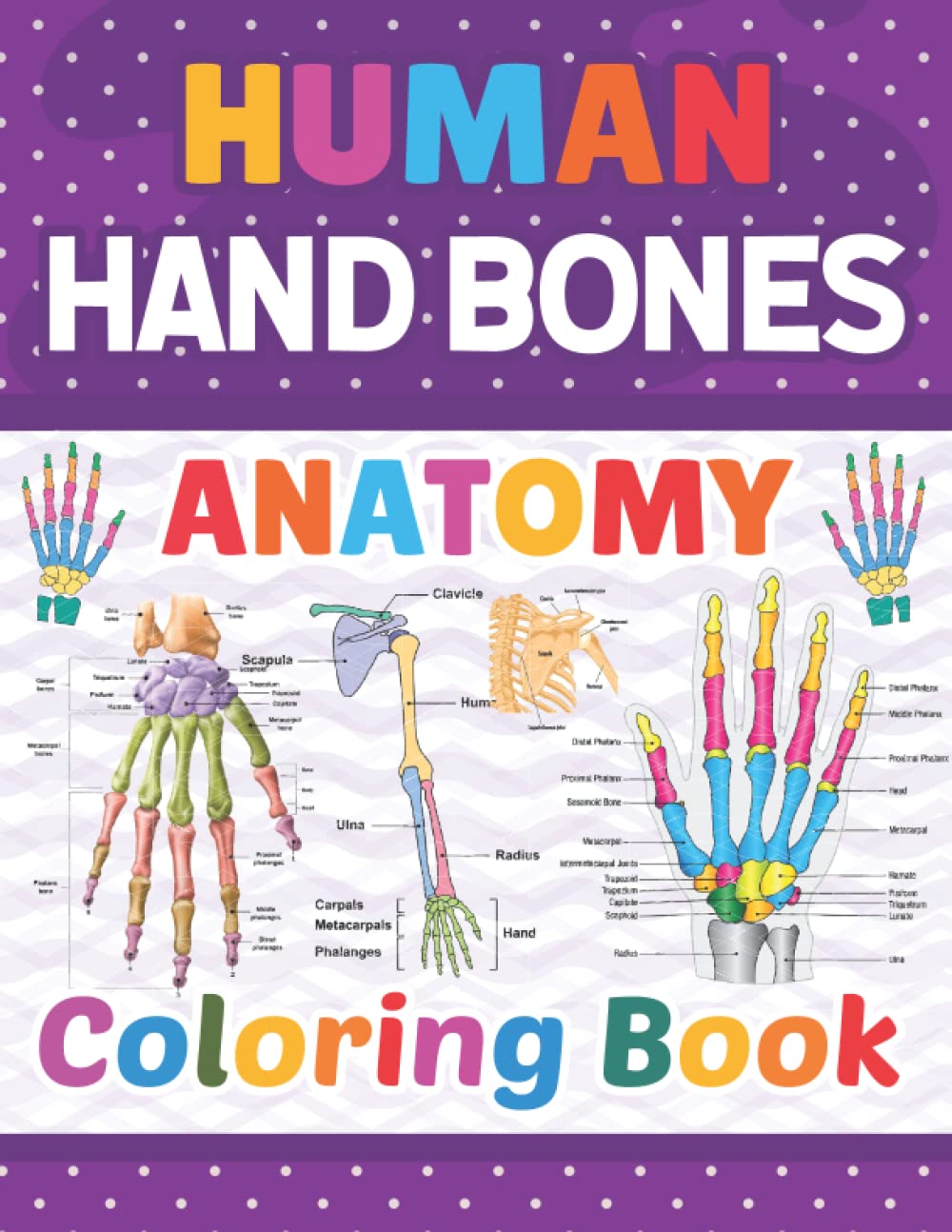 Human Hand Bones Anatomy Coloring Book: Learn The Human Hand Bones Anatomy With Fun & Easy. This Coloring Book is Helpful For Learning Human Hand ... For Kids Adults Teens and Medical Students.