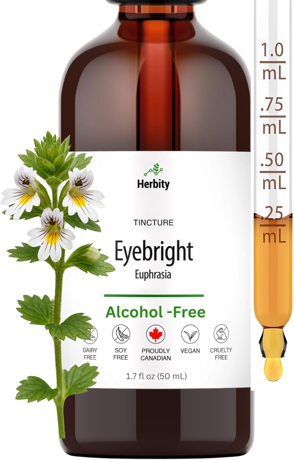 Eyebright Tincture – Alcohol-Free Liquid Extract for Eye and Sinus Support – Vegan, Non-GMO, Gluten-Free – (1.7 Fl Oz)