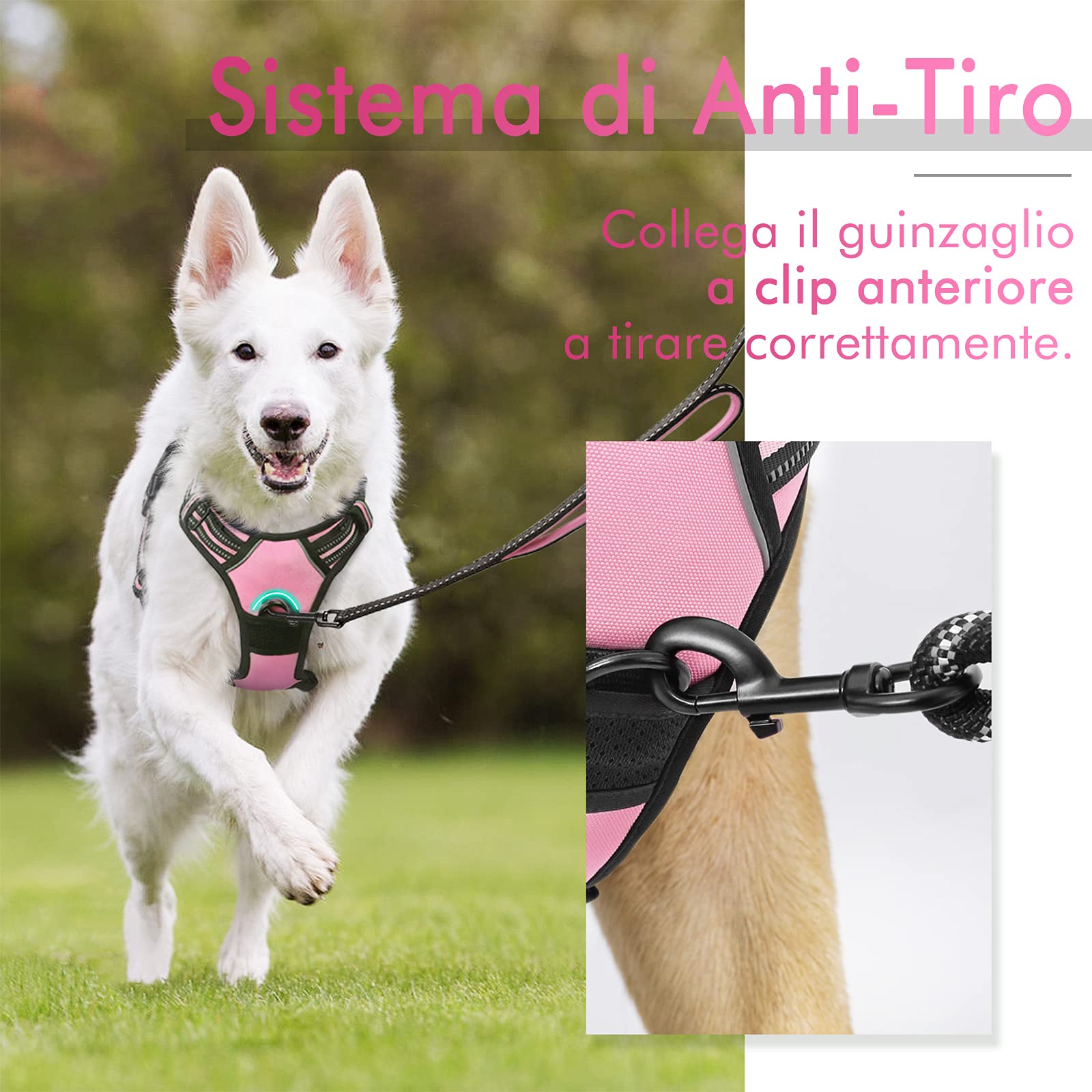 rabbitgoo Pettorina Cane Taglia Piccola, Pettorina Cane ad h Regolabile con 2 Ganci in Metallo, Imbracatura per Cani Anti Tiro Riflettente, Imbracatura Traspirante per Addestramento, Rosa, XS