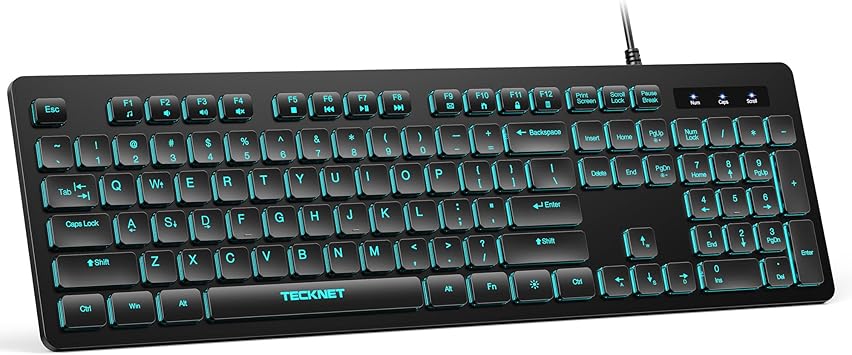 TECKNET Wired Keyboard,Silent USB Keyboard for Office,Spill-Resistant,Slim Full-Size Membrane Layout,Plug and Play for PC/Laptop/Mac-RGB Backlit