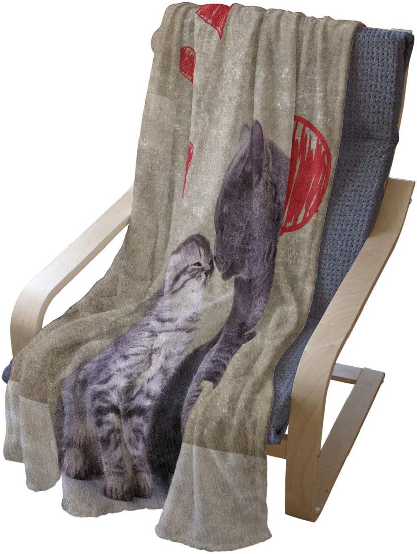 Lunarable Cat Throw Blanket, Kittens in Love Kissing Surrounded by Sketchy Hearts Romance Valentine Couples Design, Flannel Fleece Accent Piece Soft Couch Cover for Adults, 60" x 80", Red Taupe