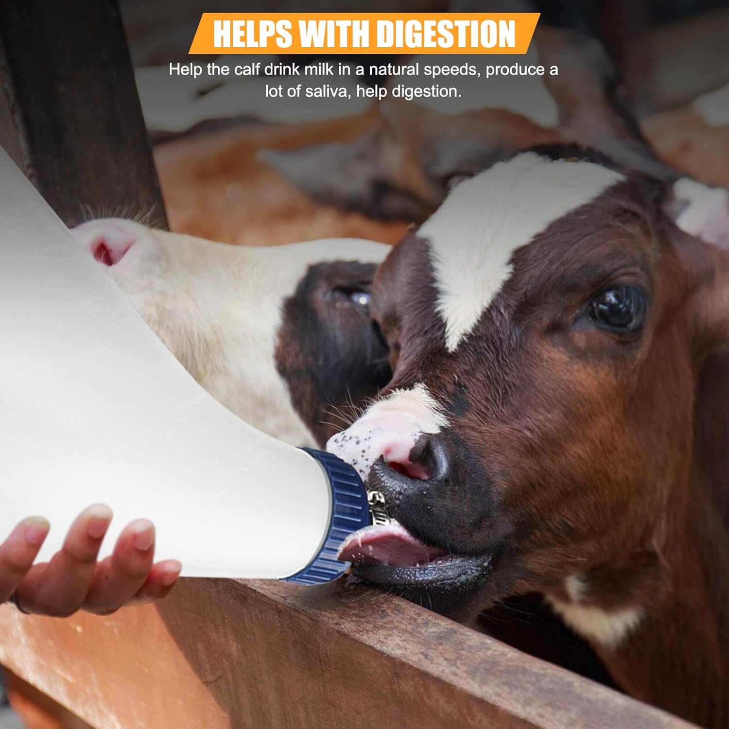 EVTSCAN Calf Bottle Feeder, 4L Stainless Steel, Cow Calf Feeding Tube Milk Bottle