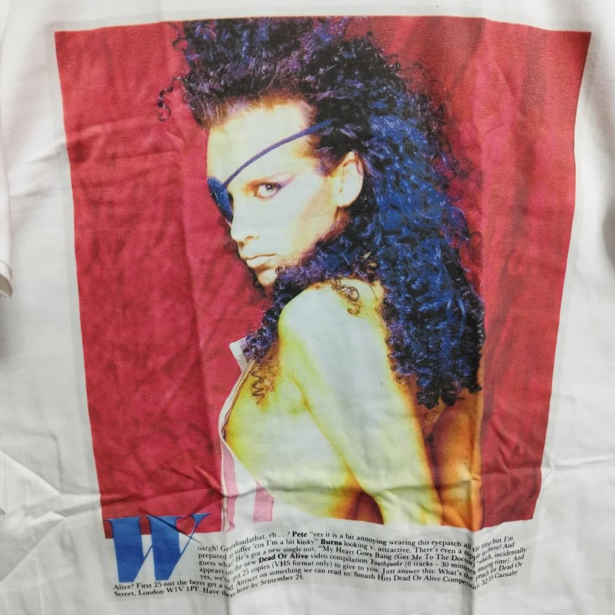 レア！デッドオアアライブ ツアーパンフレット ピートバーンズ 送料