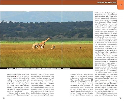 Wild Rwanda: Where to watch birds, primates, and other wildlife