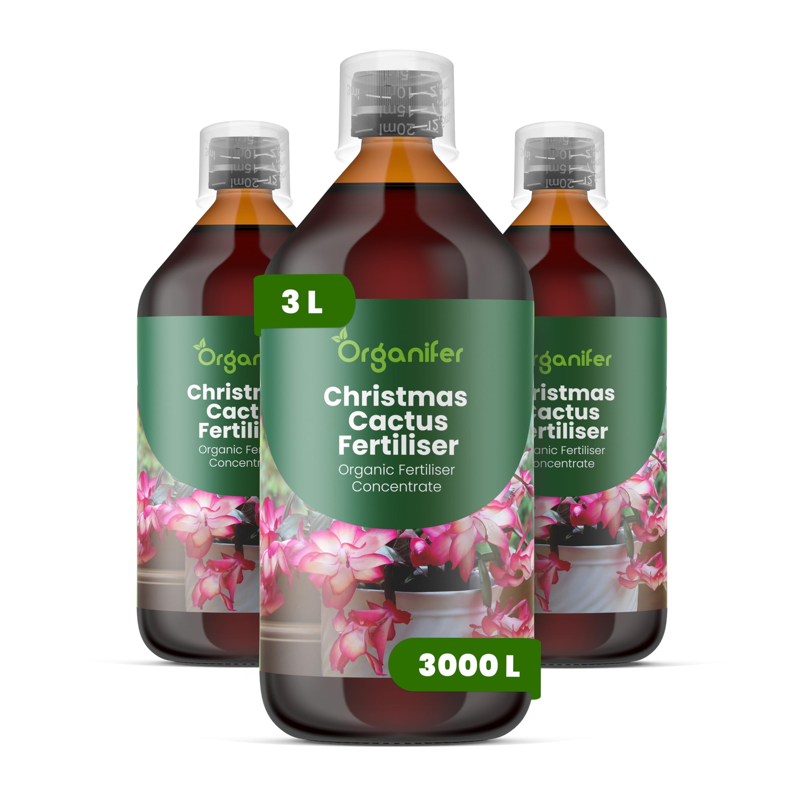 Weihnachtskaktus Flüssigdünger, 3L, Organisch, für Schlumbergera, Winterblüte, Vinassefrei