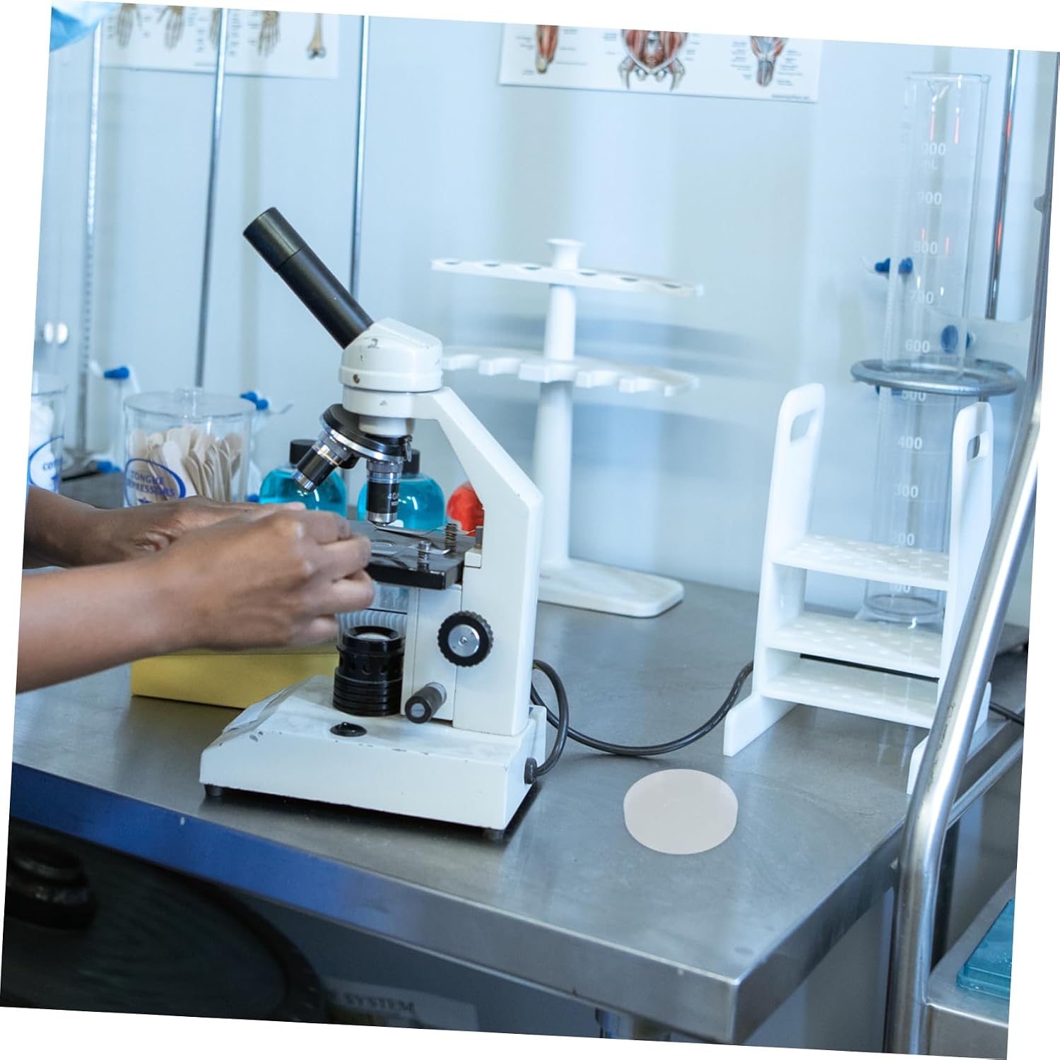 PRETYZOOM Plastic Petri Dishes Pipettes Sterile Lab Dishes for School Classroom Experiment