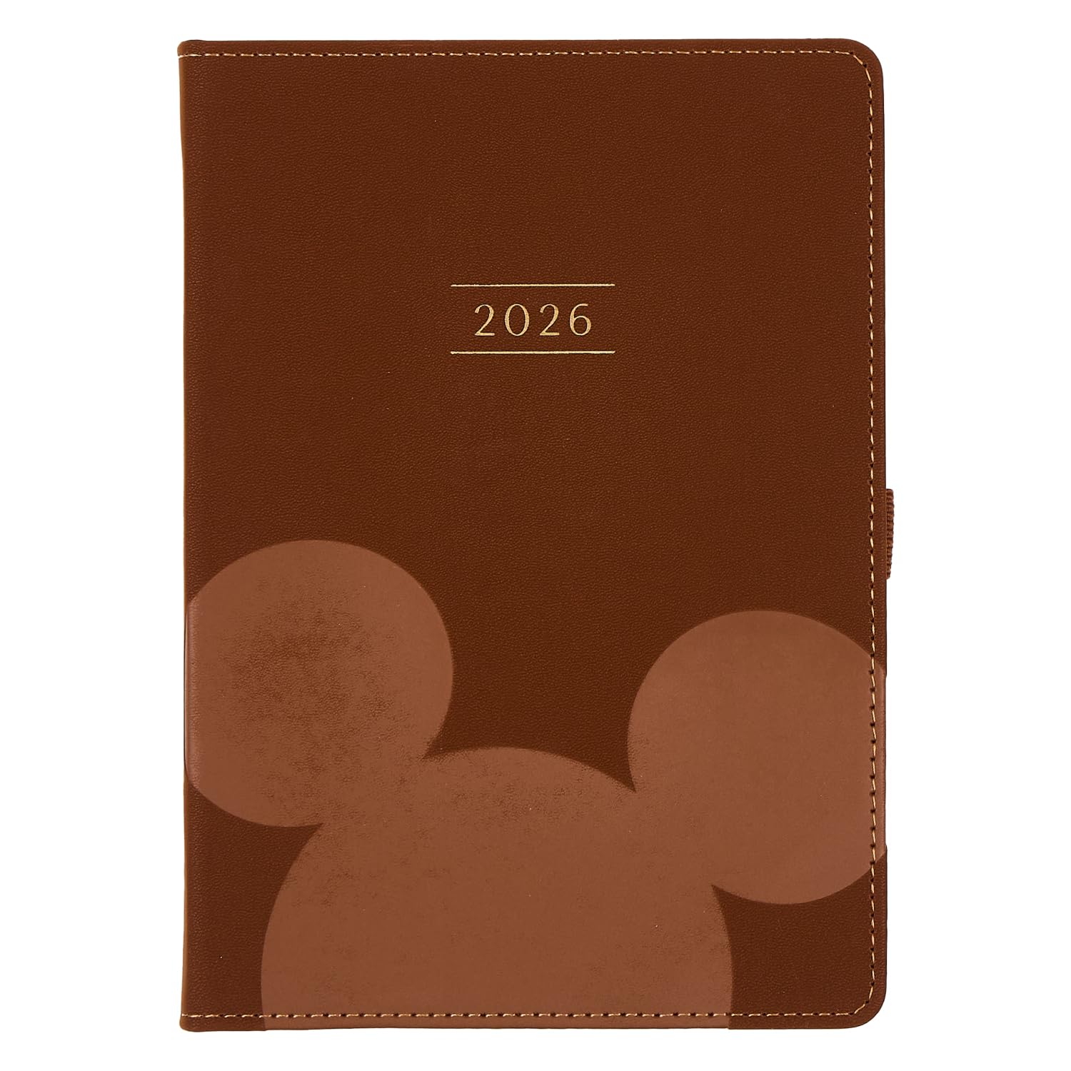 Happy Planner, agenda 12 mesi non datata, motivo: Topolino, formato piccolo, 15,2 x 21,6 cm, layout giornaliero, in pelle vegana goffrata