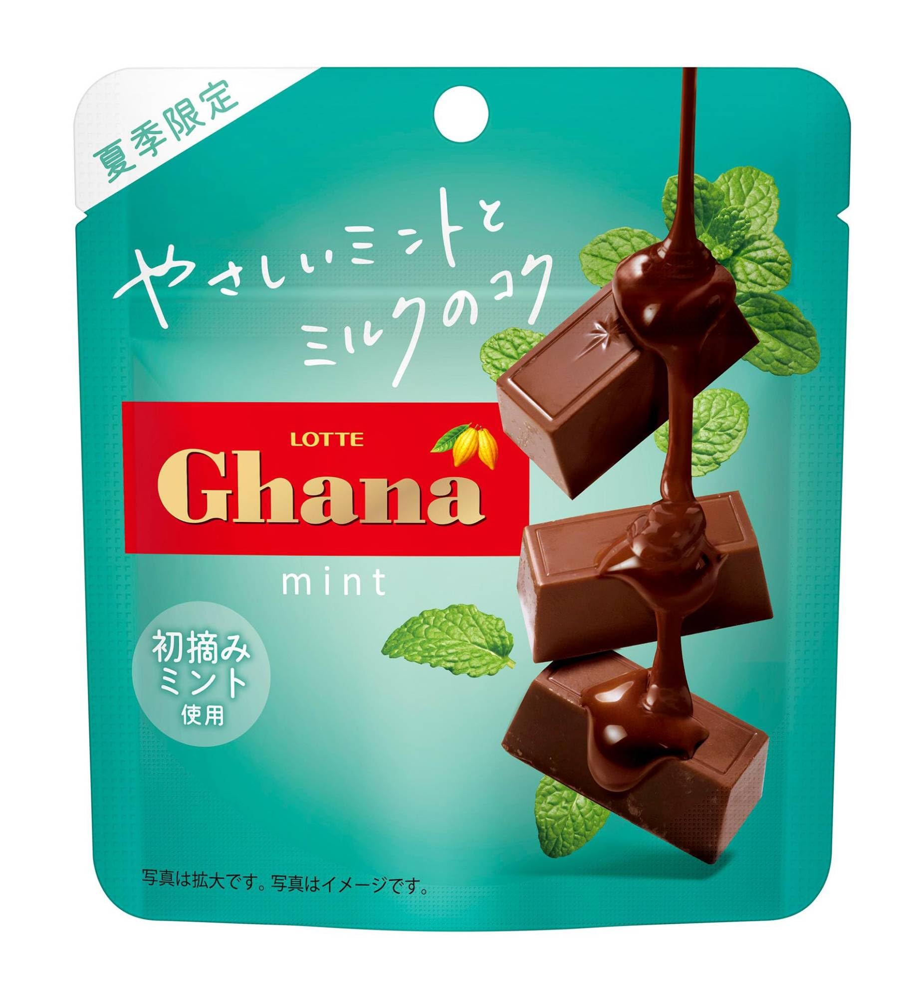 2025年の１枚目『チョコミント鬼っち』 Amazon | ロッテ 2025ガーナミントチョコレート 33g×10個