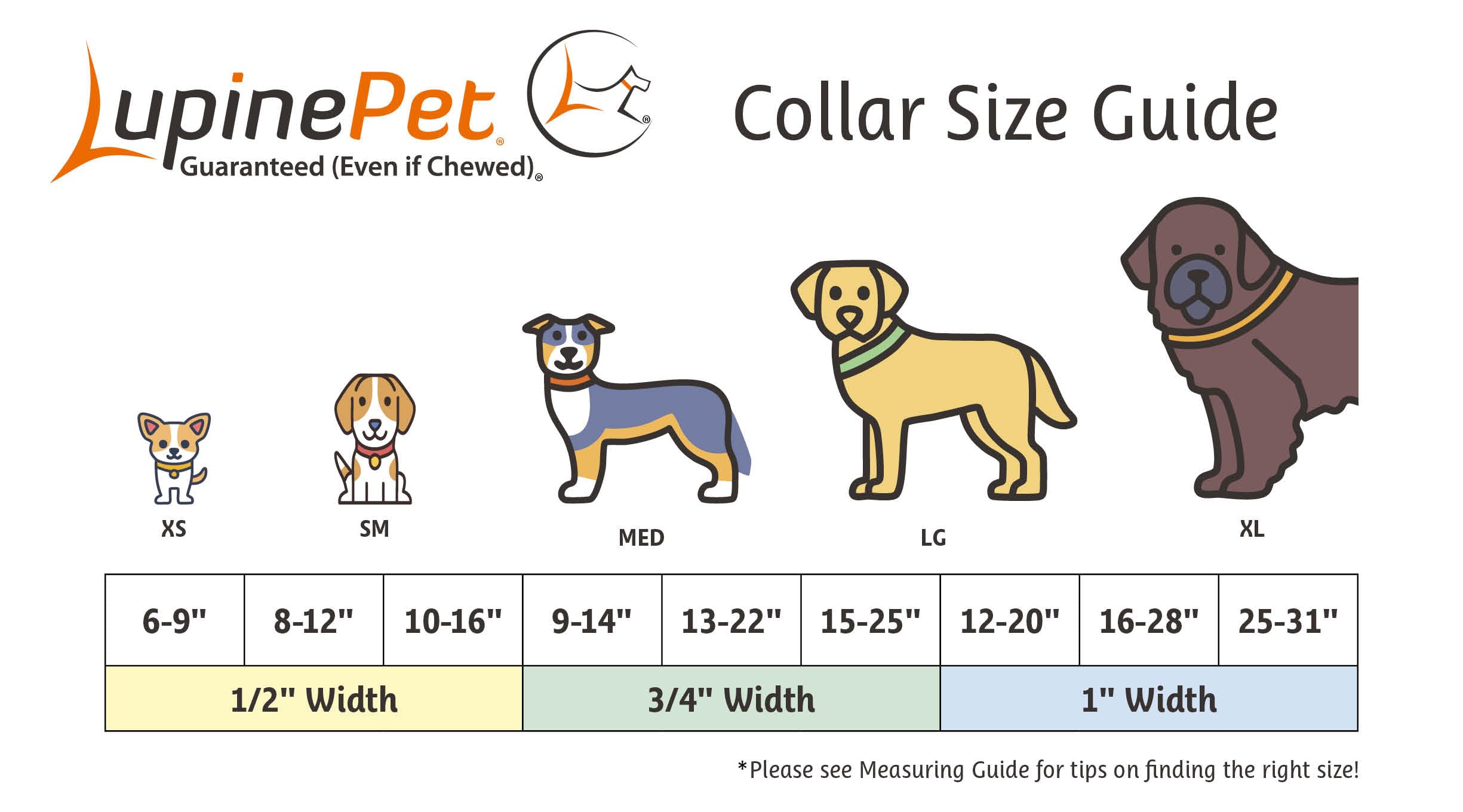 LupinePet Collare impermeabile per cani, rosa fluo, larghezza 2,5 cm, regolabile da 30,5 a 50,8 cm, realizzato in BioThane