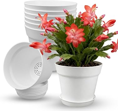 15cm/6-in Plant Pots Indoor 8 Pack Plastic Flower Pots with Drainage Holes and Saucers Modern Decorative Planters Succulent Indoor Outdoor Plants