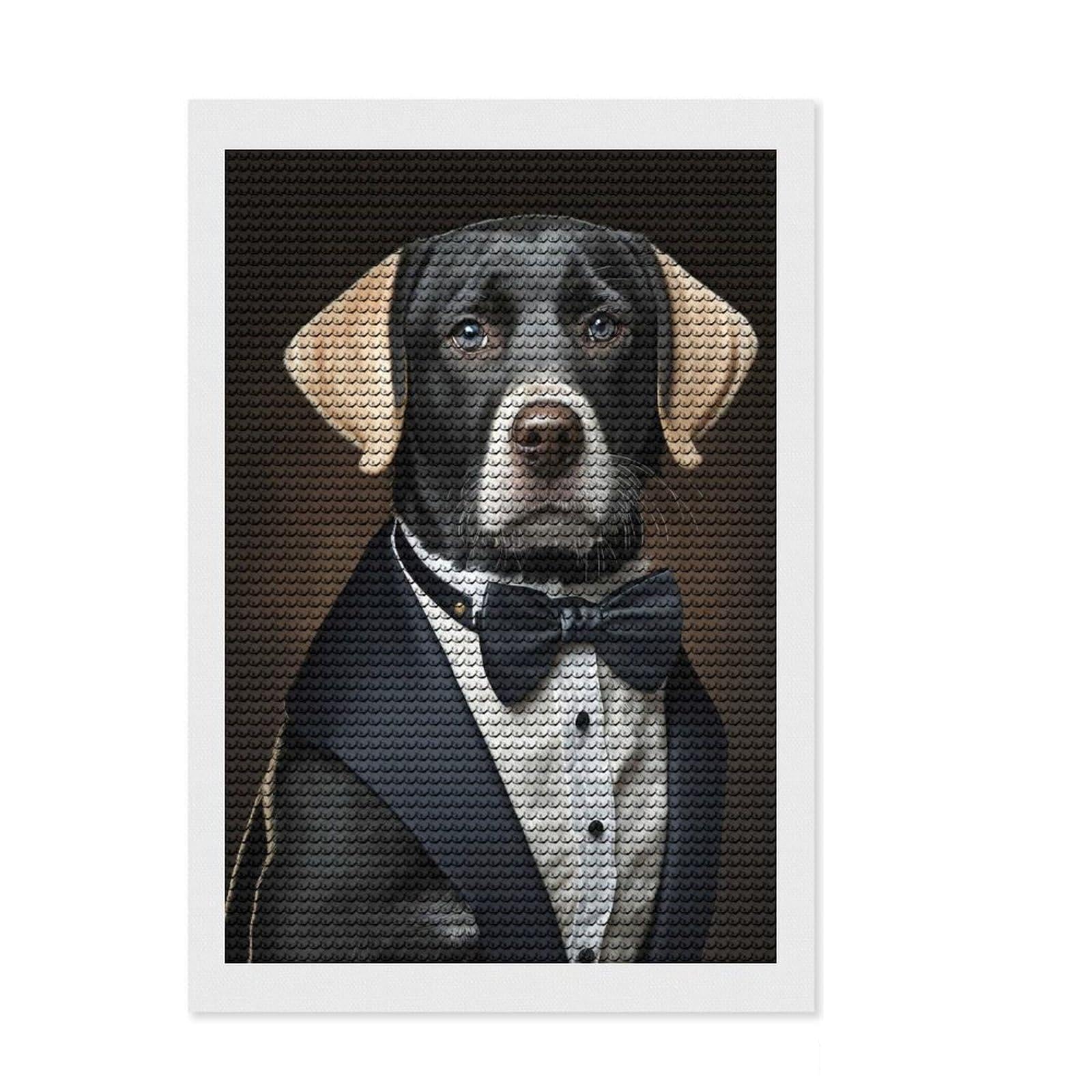 Junmoney Well Dressed Labrador Dog Diamond Art Kit 8"x12", for Teens, Home Wall Decor, Easy to Enjoy, Holiday Gift Idea, Calming Craft to Unwind
