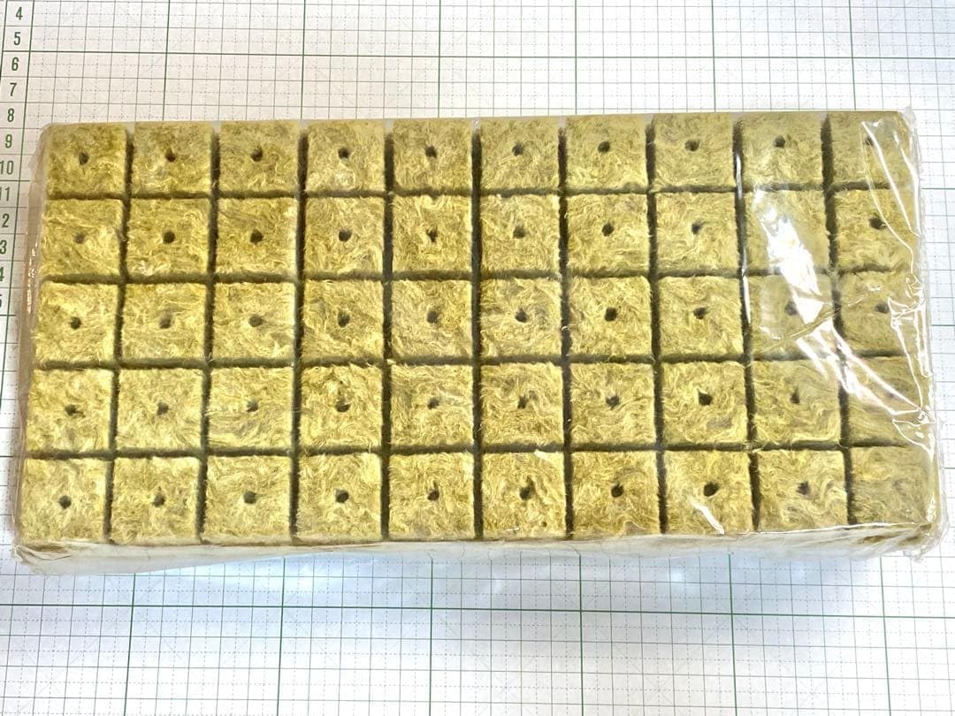 400個 ロックウール 水耕栽培 種子育成