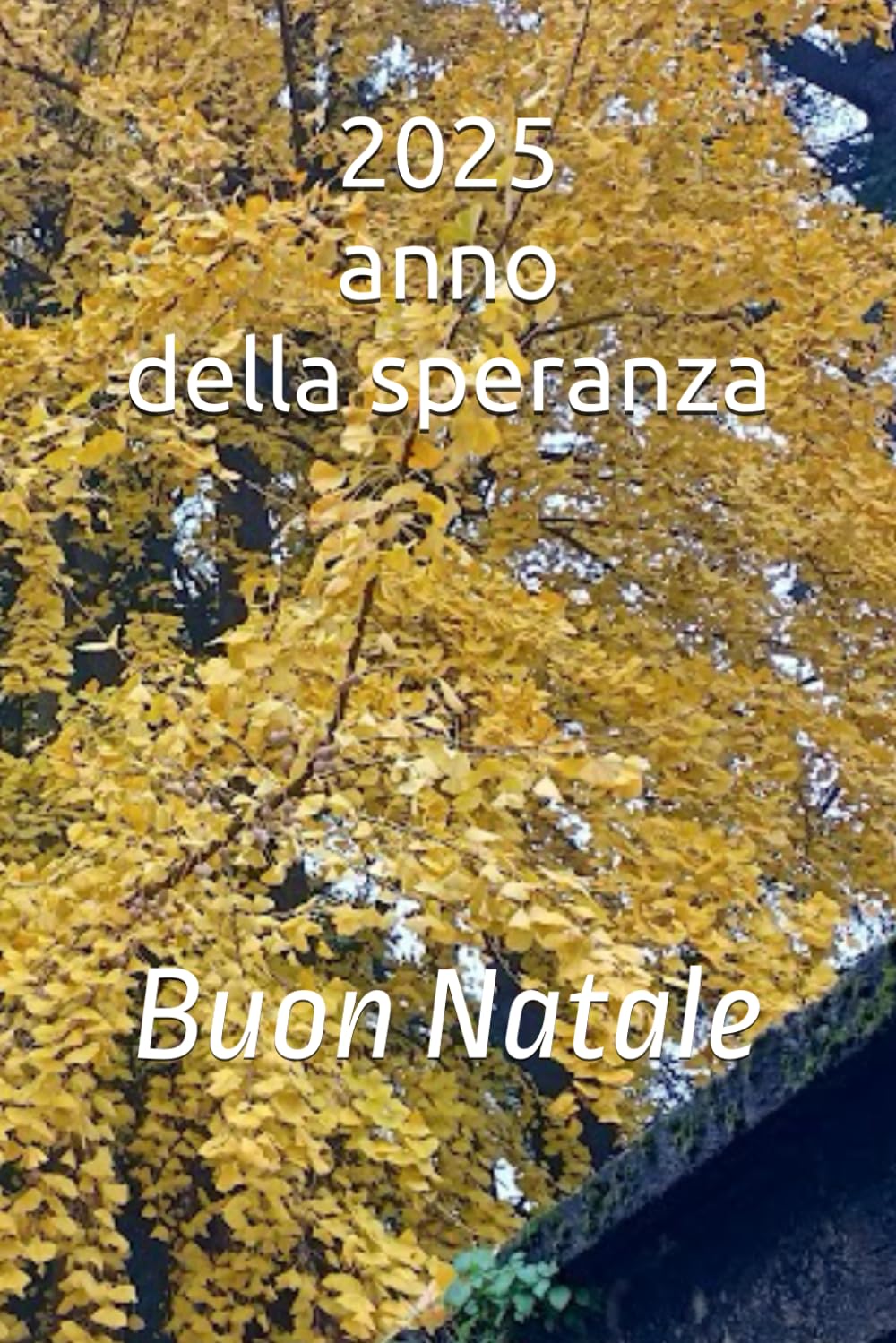 2025 anno della speranza: Buon Natale