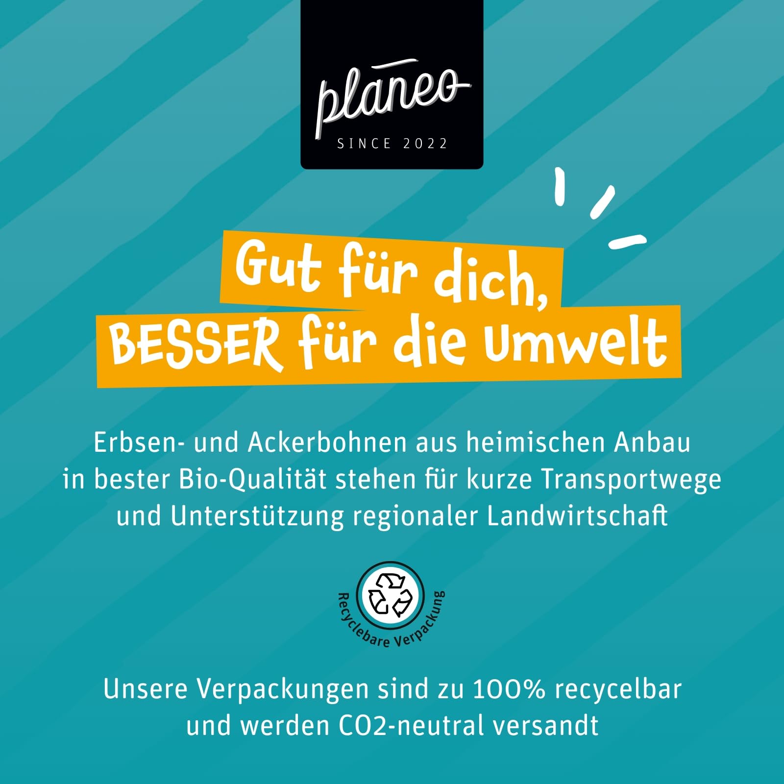 Planeo Bio Erbsen Medaillons 600g - Vegane Fleischalternative aus Erbsen und Ackerbohnen, Hoher Proteingehalt