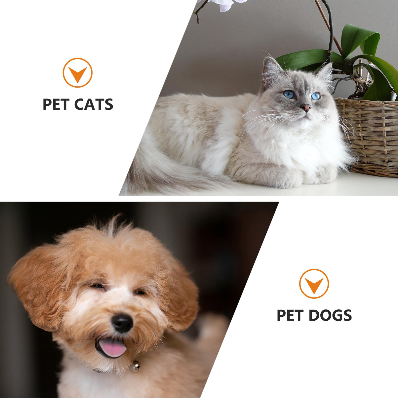 Didiseaon 3pezzi Collare Elisabettiano Per Gatti Protezione Post-operatoria Per Guarigione Healing Collare Gonfiabile Antigraffio Per Dopo Design Cartone Lion Misura