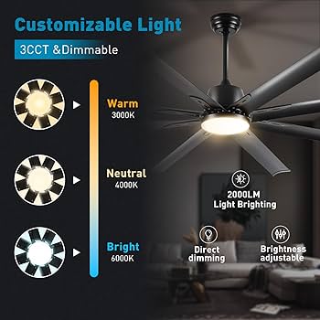 【新品未開封】CONNECTED OVER THE DIMENSION Amazon.com: 72 Inch Large Ceiling Fan with Light,12 Blades