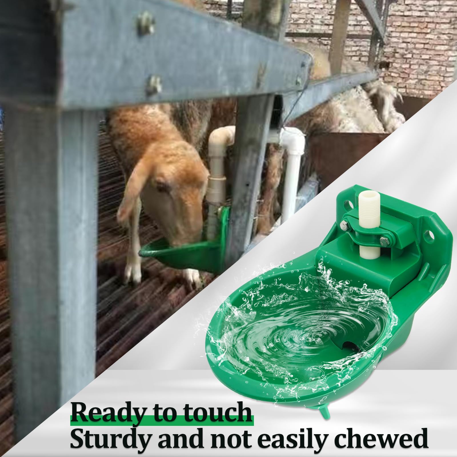Abbeveratoio per Pecore, Abbeveratoio Automatico per Bestiame Verde, Adatto per Pecore, Capre, Maiali, Cani, Confezione Da 2