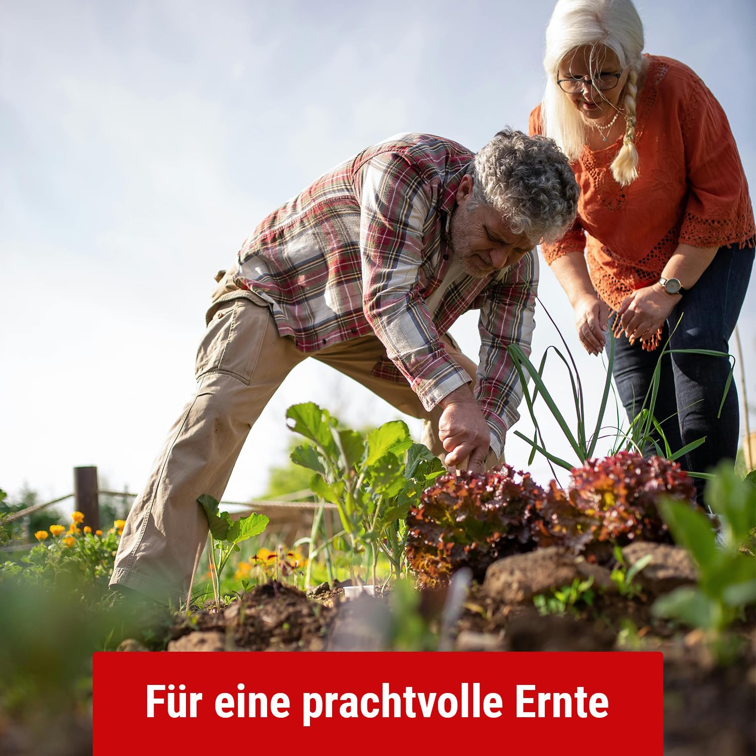Blaukorn Dnger 10 kg fr Blumen, Garten, Gemse, Kruter, Obstbau und  Pflanzung, Blaudnger 8+8+8 NPK Langzeitdnger : Amazon.de: Garten