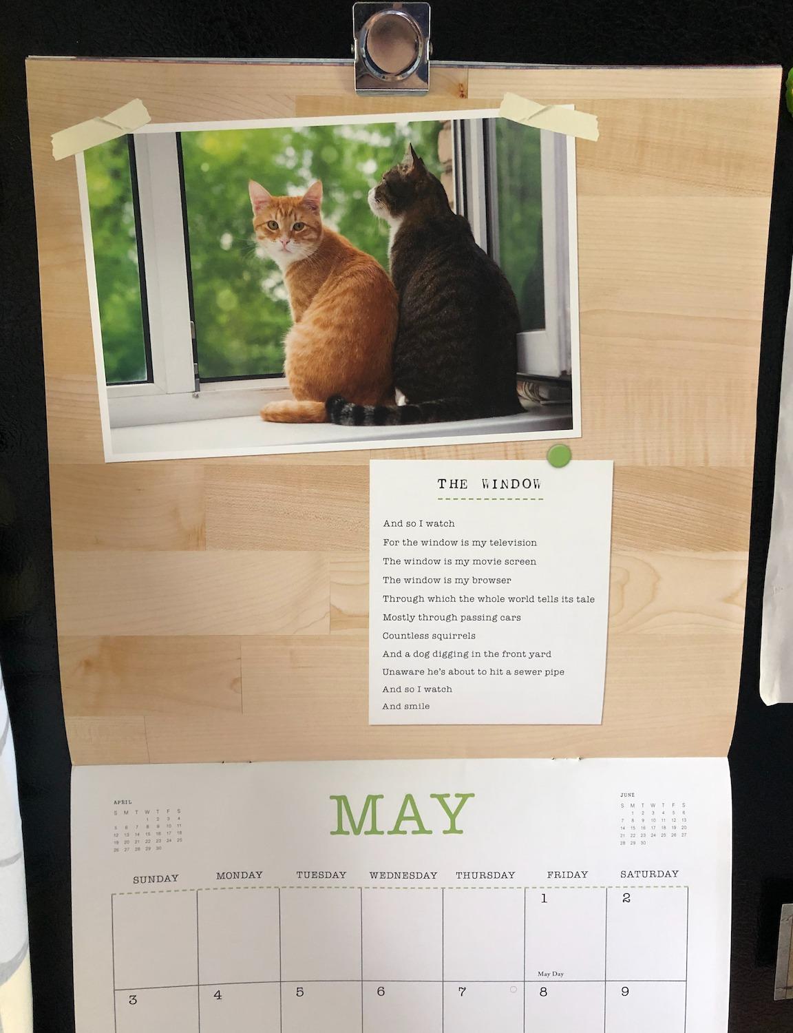 I Could Pee on This 2021 Wall Calendar (Funny Cat Calendar, Monthly